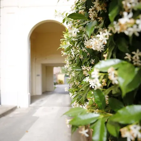 Lungarno Buozzi 7 Appartement