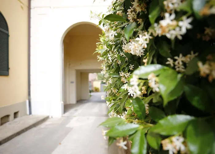 Lungarno Buozzi 7 Lejlighed